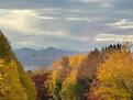 Furnished Highlands Ranch Home MTN Views