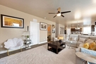 Family Room - Decor