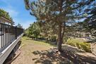 backyard 2