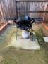 Backyard (3)