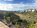 Canyon Views