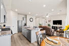 Open living room and kitchen