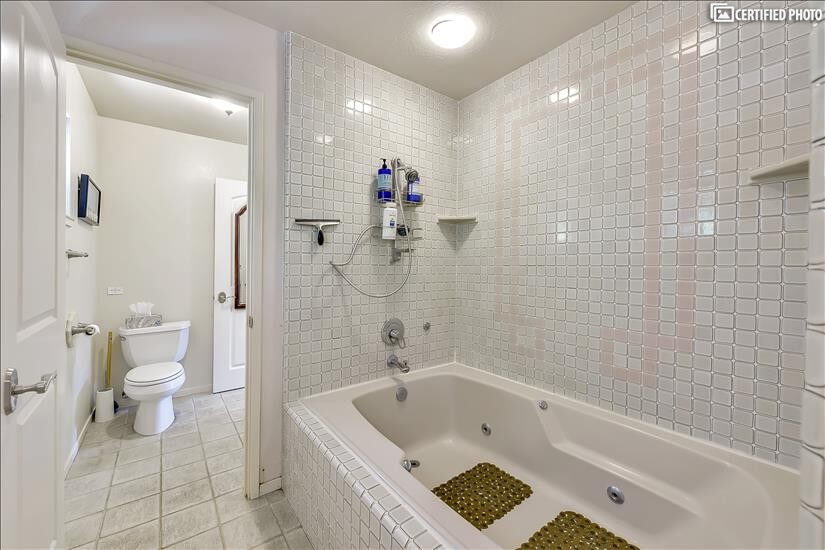 Extra large master tub room w/ overhead & hand held shower.