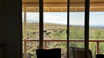 Lanai looking out to the coastline