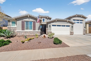 The Azure Desert Bloom Oasis