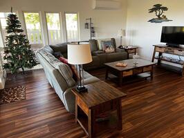 Living room with sofa, TV and wood floors