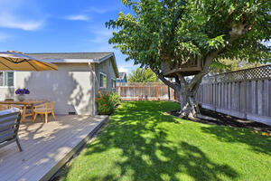 Single Story 4BR Ensuite Treehouse Deck
