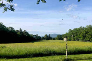 the view from the house