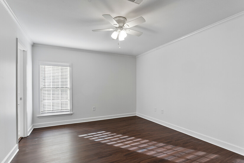 Newly Renovated in Great Neighborhood