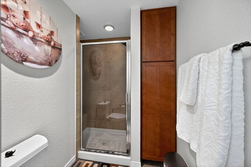 Furnished 1 bd Spacious apartment