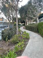 Furnished Condo Ocean and Bay Views 