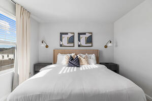 Acoustic wood panels and a calming olive tree