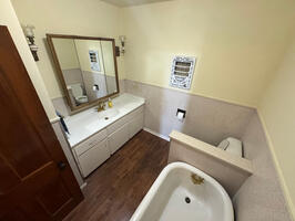Downstair Bathroom (2)