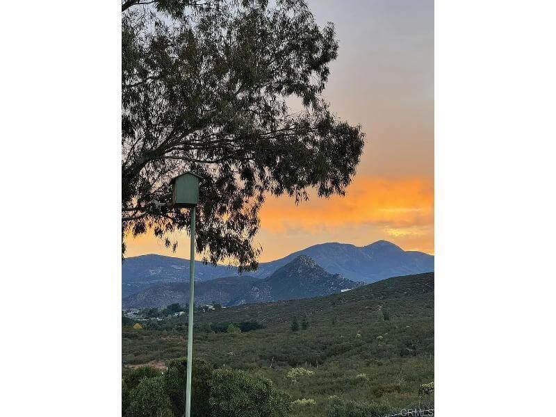 Awesome sunrise in summer