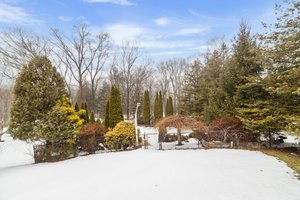 Backyard Landscape View with Mature Trees and Fenced Pool