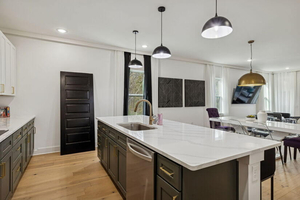 Nashville Stand Alone Townhome 