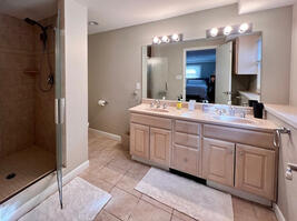Downstairs Master Bath with walk in shower