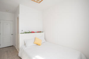 3 Bedroom 3 Bath Laundry Parking Main St