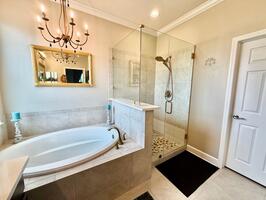 Primary Bath Separate Shower and Tub