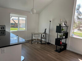 Sunny work from home area