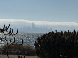 City View 1