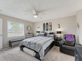Spacious Primary Bedroom with Comfortable Fur