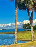 Furnished rental in Clearwater