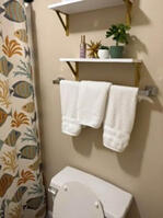 bathroom shelving 2