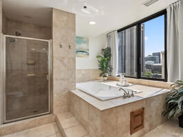 Master bath with shower and jacuzzi tub