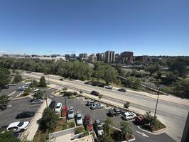 Luxury MidCentury Condo in Cherry Creek
