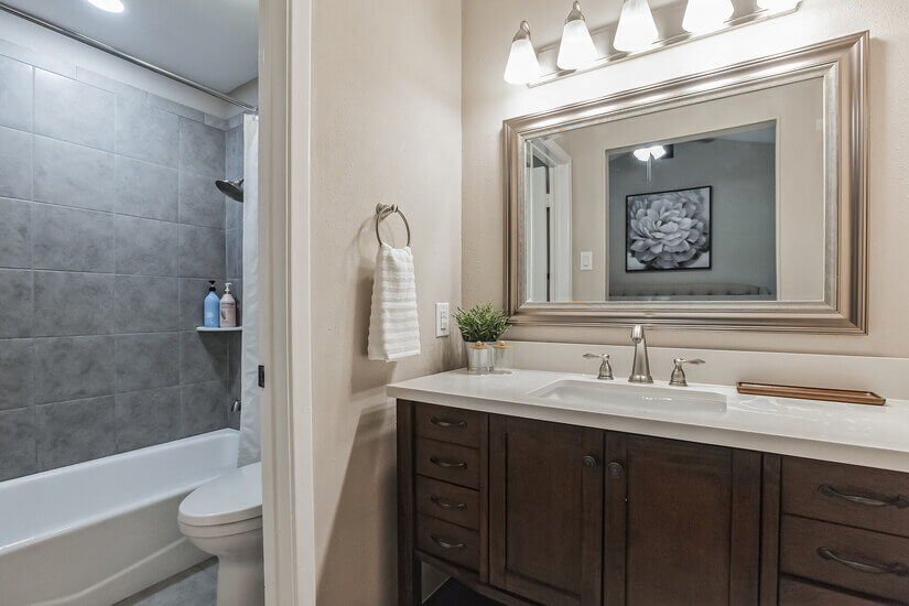 Pet- Family- Military- Medical-Friendly