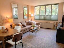 Sun-drenched, fully furnished living room