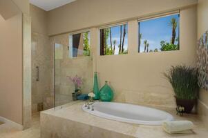 Primary Bath tub and walk in shower
