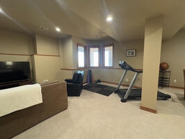 Gym and Entertainment Room