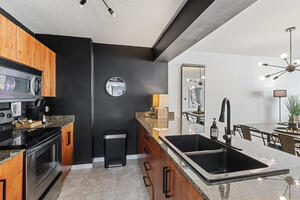 Double sink and dishwasher