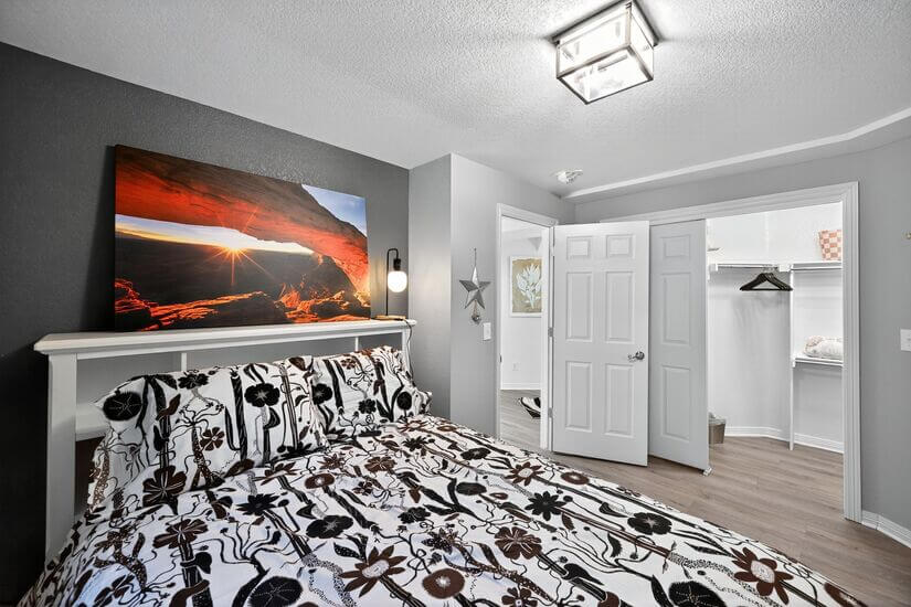 Furnished 1 bd Spacious apartment