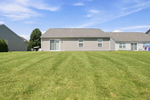 Back Lawn