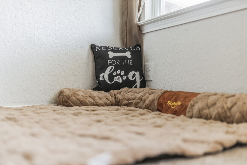 Pet Family Friendly Large Modern 5 Bed