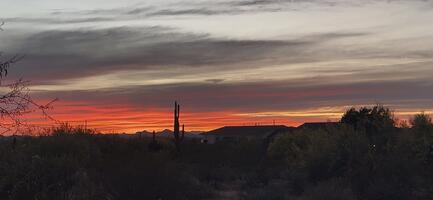 Sunset from backyard