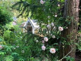 Wisteria Cottage in City of Decatur