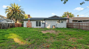 Large Back Yard