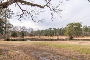 Pond