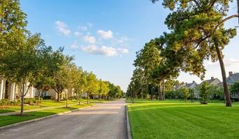 Luxury Furnished Executive The Woodlands