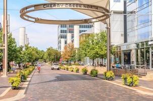Luxury MidCentury Condo in Cherry Creek
