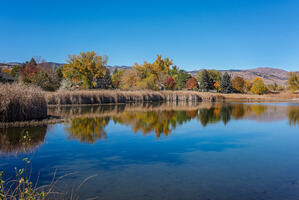 Neighboring Pond, open space just one plot away from house