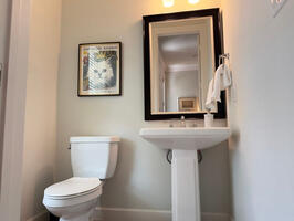 Luxury Furnished Executive The Woodlands