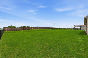 Spacious Backyard