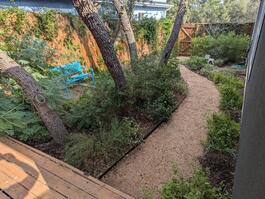 Shaded trail