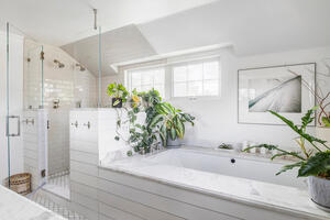 Luxury Wash Park Home