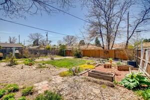 Backyard and gardens